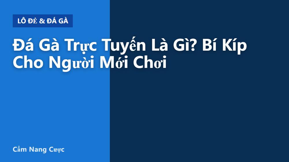 Đá Gà Trực Tuyến Là Gì? Bí Kíp Cho Người Mới Chơi